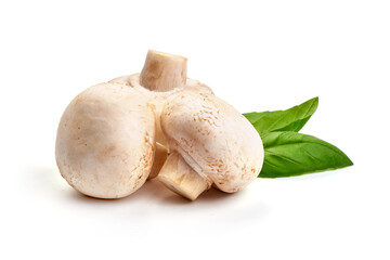 Champignons, close-up, isolated on white background