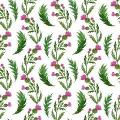Fototapeten Watercolor seamless pattern with stylized twigs, flowers and leaves of the Thistle plant © Ellivelli
