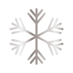 Fototapeta premium snowflake of color light gray in white background