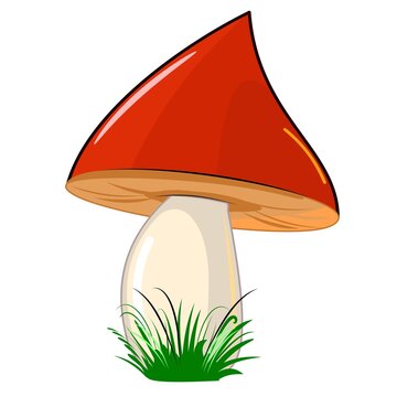 Mushroom. Isolated on white background. Cute cartoon style. Beautiful illustration. With grass. Vector