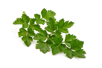 Fresh organic parsley, isolated on a white background