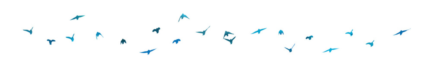 Bird watercolor. A flock of colorful birds. Mixed media. Vector illustration