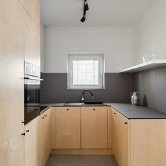 Kitchen with plywood furniture and veneer countertops