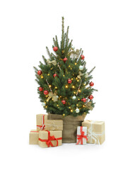 Fototapeta na wymiar Beautiful decorated Christmas tree and gift boxes on white background