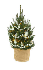 Fototapeta premium Natural decorated Christmas tree isolated on white