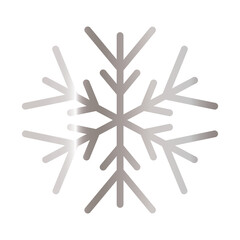 Fototapeta premium snowflake of color light gray over white background