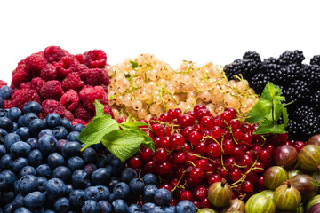 Gooseberries, blueberries, mulberry, raspberries, white and red currants.