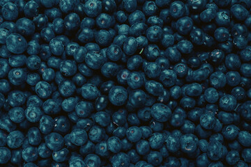 Fresh blueberry background.