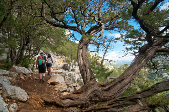 Trekking in Supramonte of Sardinia
