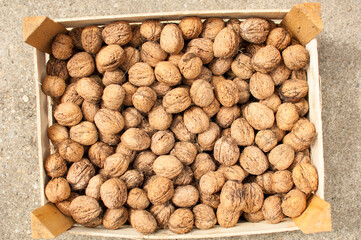 Scattered pile of walnuts