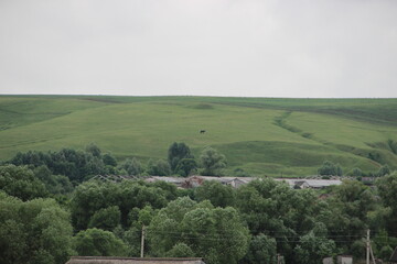 view of the valley/ black horse