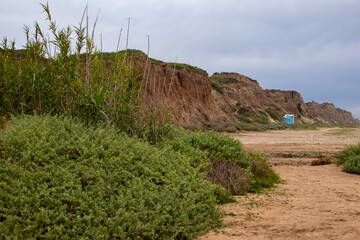 Guard tower behind bamboo