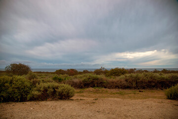 Cloudy sky over trail