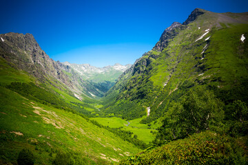 Fototapeta premium Beautiful mountain landscape with forest at Caucasus mountains.