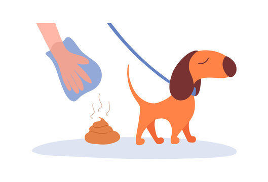 Cute cartoon sign or table, banner colorful vector illustration. Hand is  picking up dog poop using plastic bag.