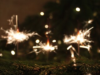 Three burning and sparkling bengal candles in the night and spruce branch needles close-up.