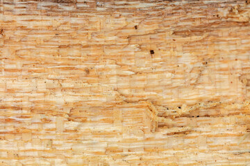 Macrophotography of natural wooden surface texture close up view.