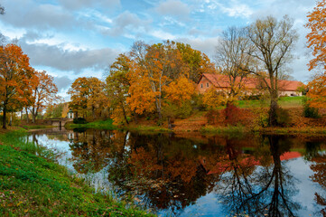 Autumn trees by lake