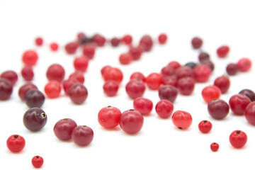 Ripe organic cranberry isolated on white background. Сopy space on a white background.	