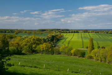 Panorama Blick von Stöfs auf grüne Felder, Knick Landschaft und die Ostsee im Frühling
