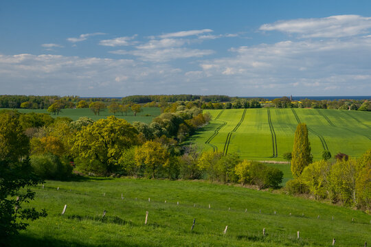Panorama Blick von St&ouml;fs auf gr&uuml;ne Felder, Knick Landschaft und die Ostsee im Fr&uuml;hling