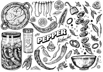 Red hot chili peppers in vintage style. Salad ingredients. Farm vegetable. Vector illustration. Hand drawn engraved retro sketch. Doodle style - obrazy, fototapety, plakaty