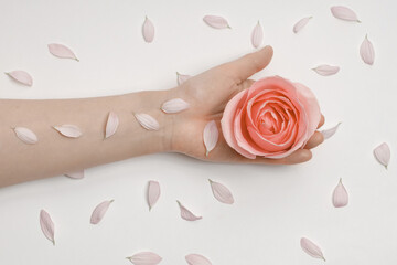 Fashion is the art of hand skin care and white flowers in the hands of a woman. Creative beauty of a photo of hands sitting at a table on a white background. Anti-wrinkle hand cosmetics