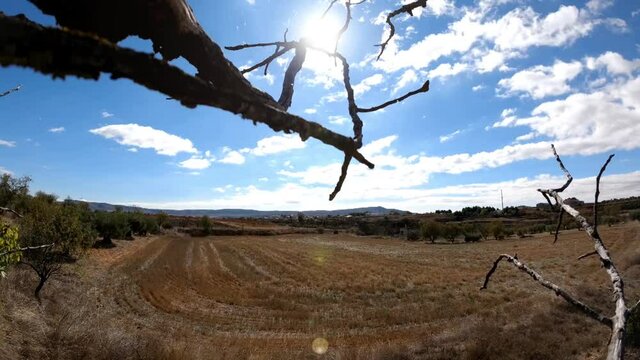 Timelapse de nubes pasando entre dos ramas secas en un paisaje del interior de Castilla, Espa&ntilde;a. Una telara&ntilde;a brilla entre las ramas alrededor del sol.