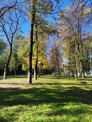 park in the park