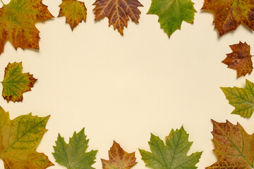 Naklejka na ściany i meble Creative autumn leaves background