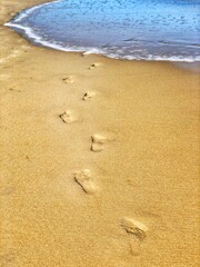 footprints in the sand