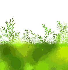 Abstract background with green silhouettes of meadow wild herbs and flowers. Wildflowers. Floral background. Wild grass. Vector illustration.