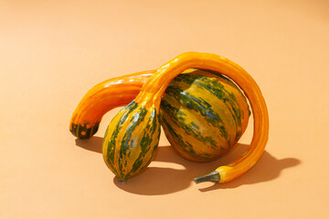 Orange pumpkins on a light paper background, fruits of a fancy curved shape, decorative pumpkins.
