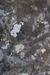 Surface of a rock in an industrial zone of Dietikon