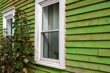The exterior of a vintage lime green house. The wall has narrow wood horizontal clapboard. There are two double pane windows with white trim, A tree with leaves separates the two closed windows.  