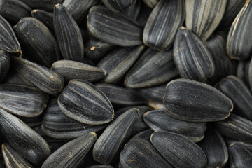 Obraz premium Raw sunflower seeds as background, closeup view