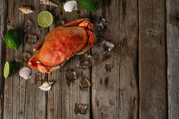 Tasty cooked crab with ice cubes served with lime and seashells on rustic wooden background....