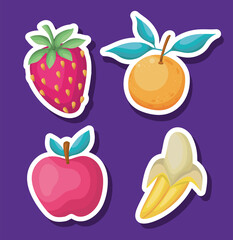 set of fruits on a purple background