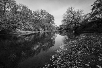 The Racoon River In Black And White