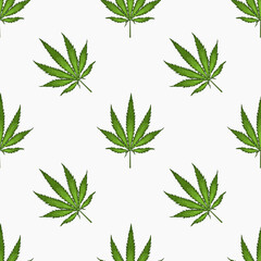 Seamless pattern with leaves of hemp Marijuana leaf. Cannabis plant background. Hand drawn style. Vector