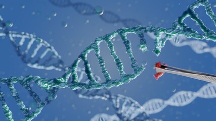 DNA strands to illustrate de CRISPR technology for genetic manipulation - obrazy, fototapety, plakaty