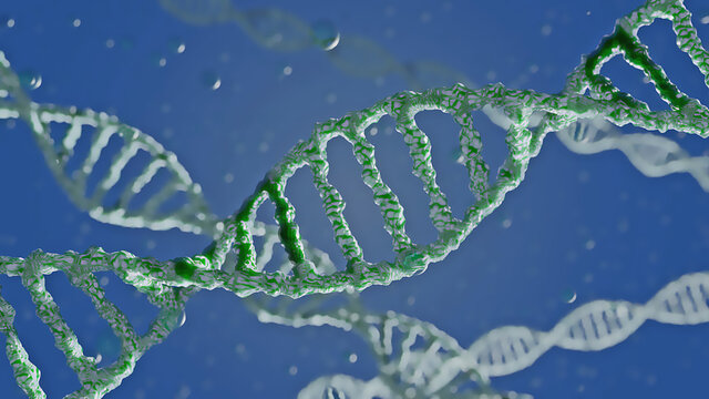 DNA Strang, Illustration