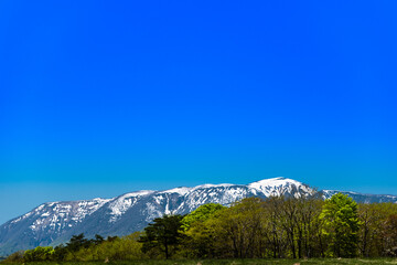日本　残雪の栗駒国定公園雪山