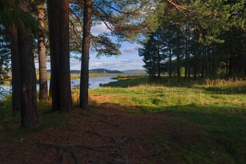Fototapeta premium Summer landscape, forest trees are reflected in calm river water against a background of blue sky and white clouds.