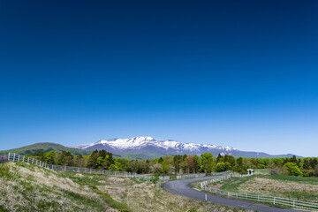 Fototapeta na wymiar 日本　残雪の栗駒国定公園栗駒山と高原の牧場