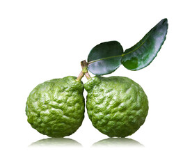 Obraz premium Bergamot fruit (Citrus hystrix, Rutaceae) isolated on white background with clipping path