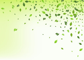 Fototapeta na wymiar Lime Greenery Ecology Vector Green Background 