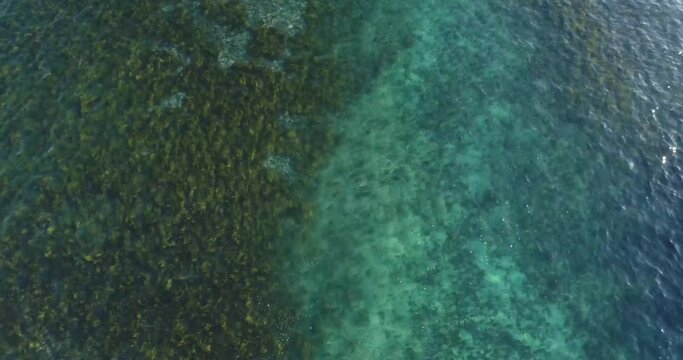 Ascending aerial top down of beautiful clear ocean with water plants and coral reefs in Australia.Sunlight at Boneyard 
