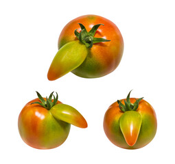 Tomato with unusual shapes, Tomato has a long nose like a Pinocchio