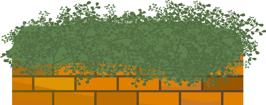 ハーブ花壇 の画像 74 2 件の Stock 写真 ベクターおよびビデオ Adobe Stock